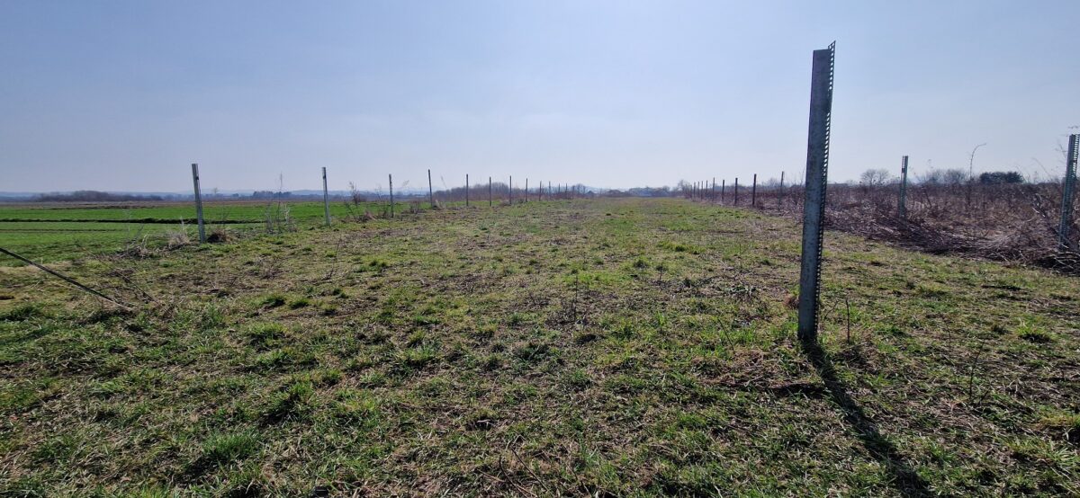 Zemljište Varaždin, 3997m2